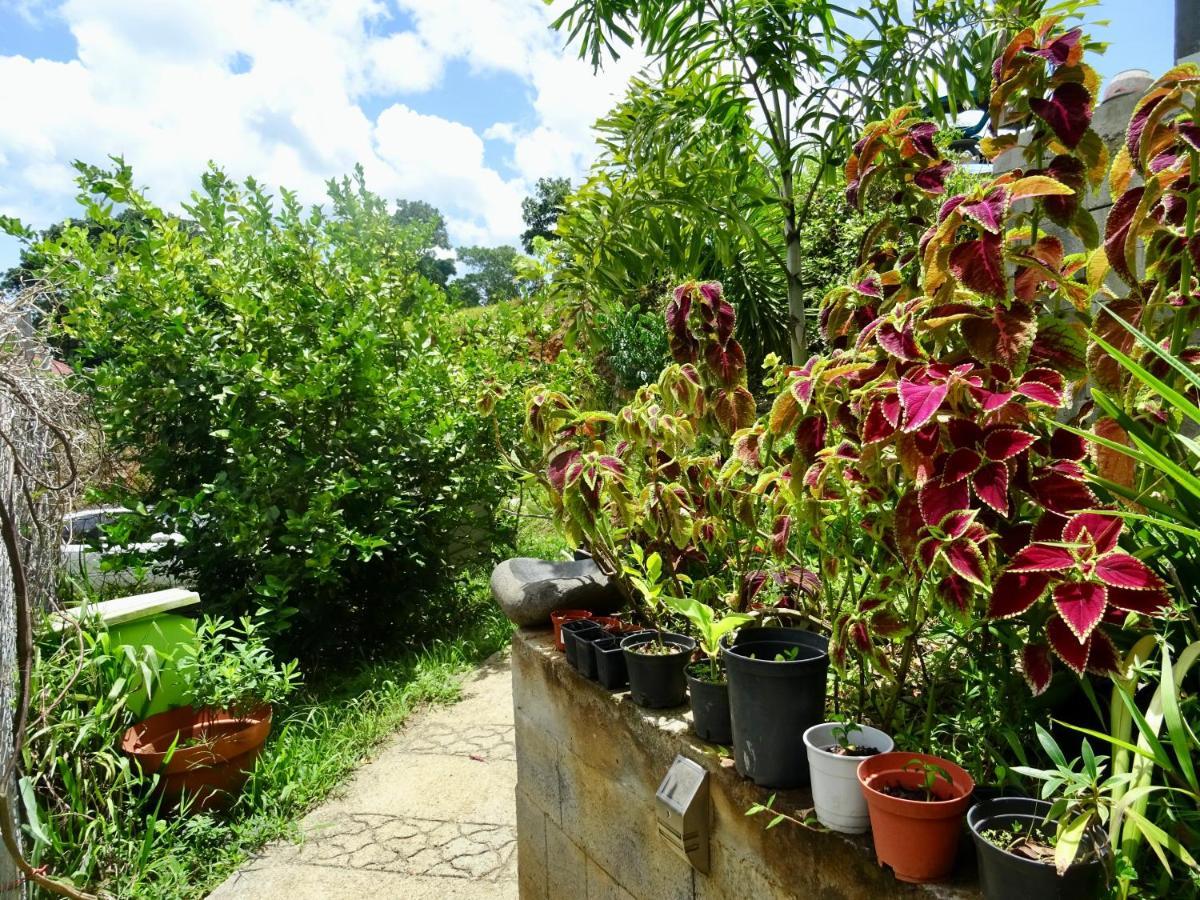 Bungalow Dourou 德赛 外观 照片